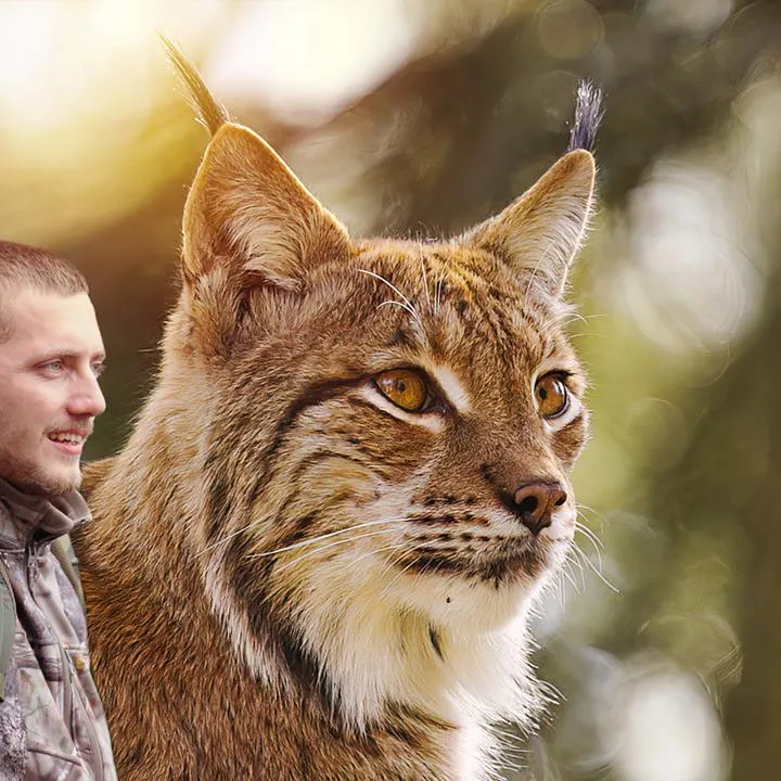 Jakub a Lukáš chystajú unikátny film o slovenských rysoch: Už 4 roky žijú v divočine